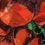 art16